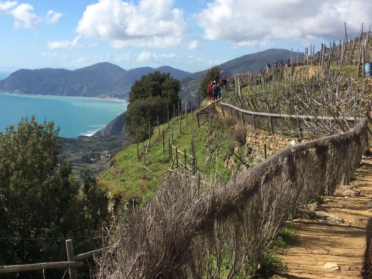 Appartamento Vacanze "Borgo Cinque Terre" Volastra Manarola Екстериор снимка