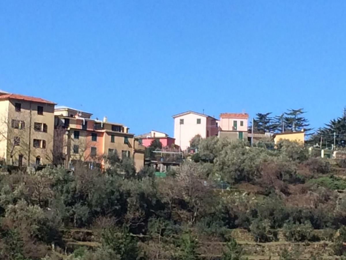 Appartamento Vacanze "Borgo Cinque Terre" Volastra Manarola Екстериор снимка